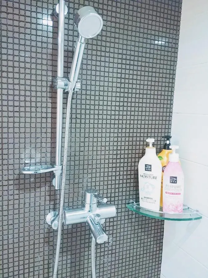 Studio In Central Seoul Apartment