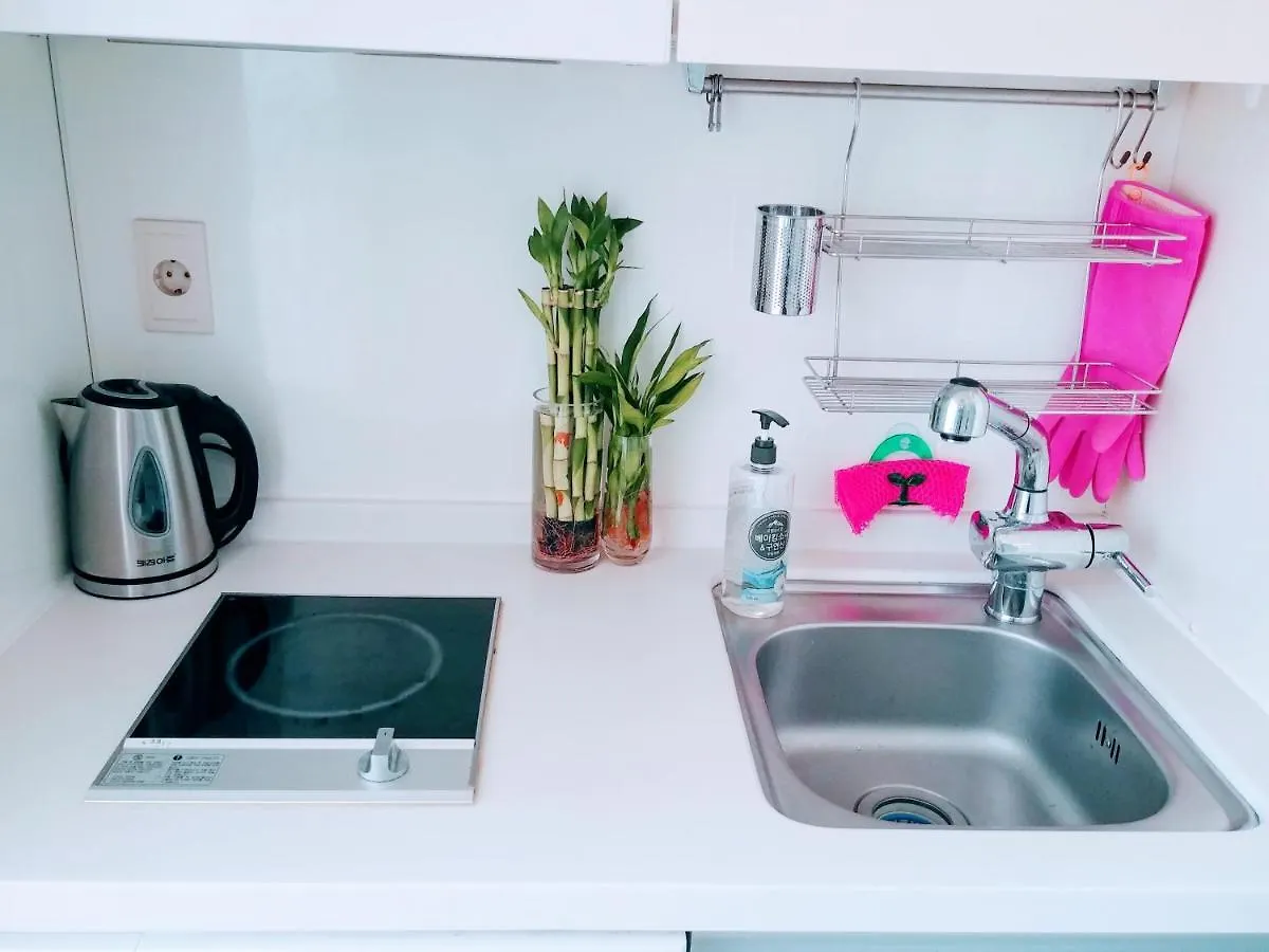 Studio In Central Seoul Apartment